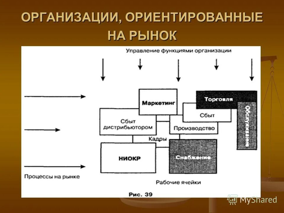 Проектирование предприятий торговли globomarket ru