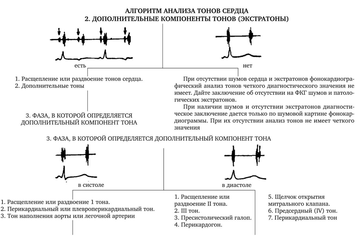 Тоны сердца. Сердечные тоны в норме. Виды тонов сердца. Характеристика тонов сердца. Детальная характеристика тонов сердца.