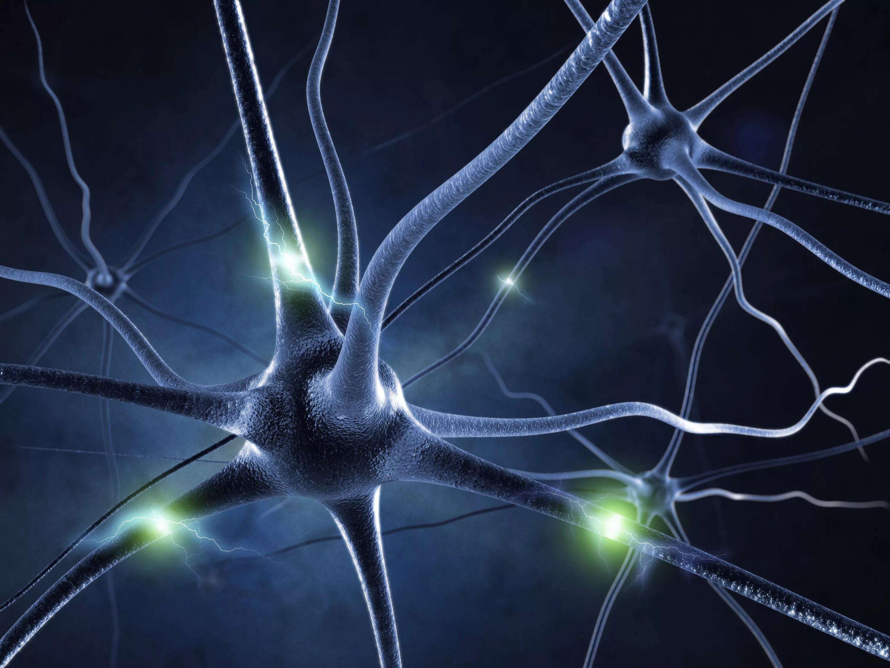 Что такое нейро. Нейрон клетка головного мозга. Нервная система Нейрон. Нейронные клетки головного мозга. Нейросеть синапс.