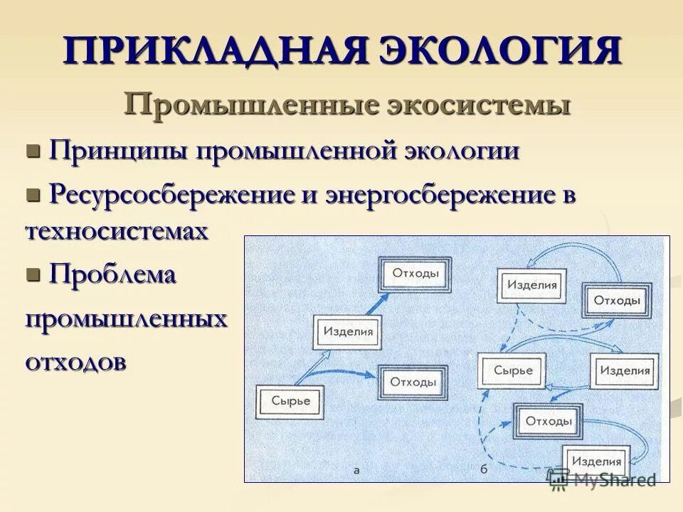промышленные экосистемы