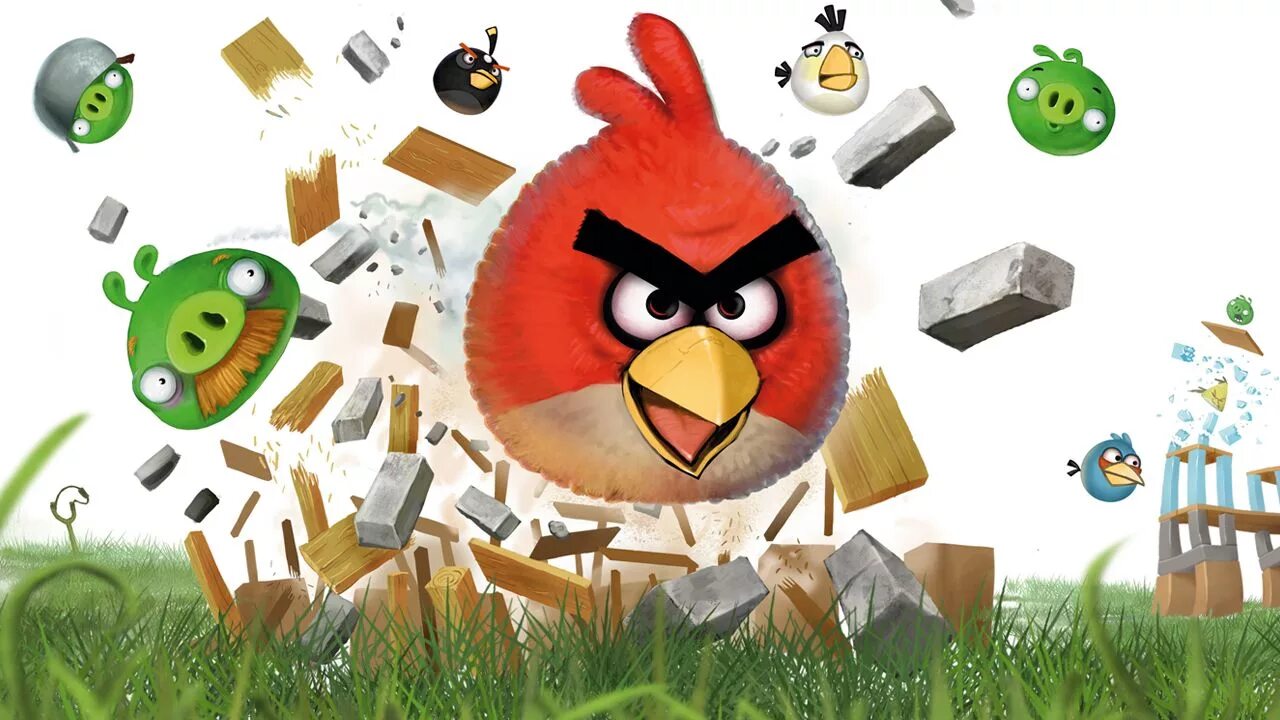 Интерактивная игра птицы