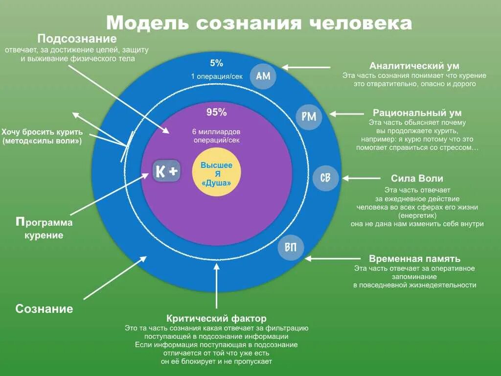 Структура сознания и подсознания. Уровни сознания и подсознания. Сознание и подсознание. Структура подсознания человека.