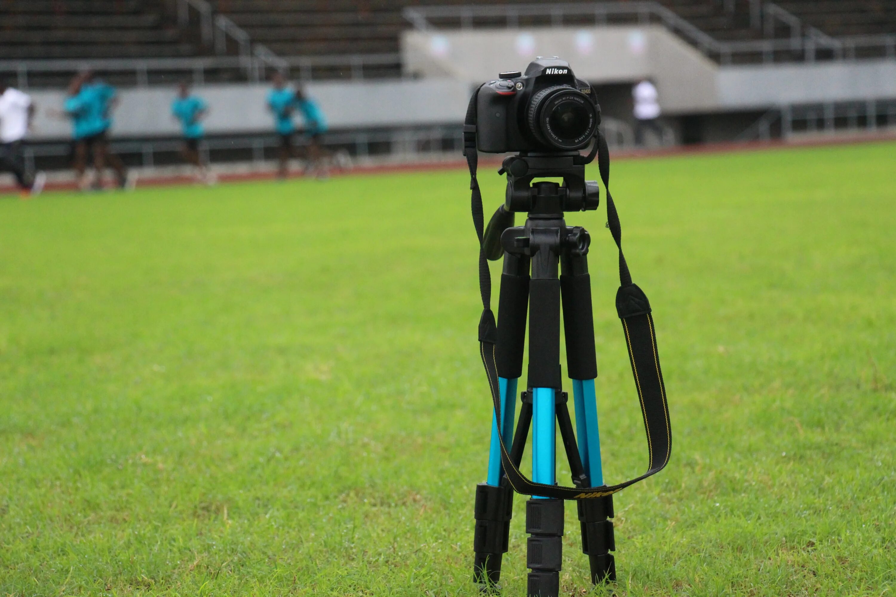 Technical field
