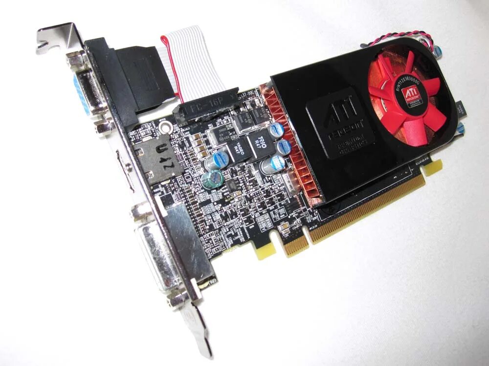 Radeon graphics ноутбук. АМД радеон 5570. Видеокарта AMD Radeon HD 5570. Видеокарта сапфир hd5570. ASUS Radeon HD 5570.