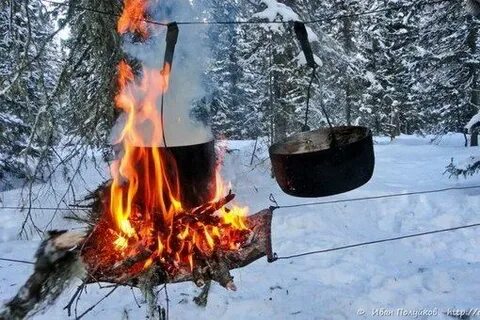 Казан лес