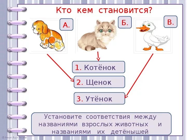 Кто кем будет дидактическая игра. Игра кто кем был. Кто кем становится Шибаев. Игра кто кем будет в картинках.