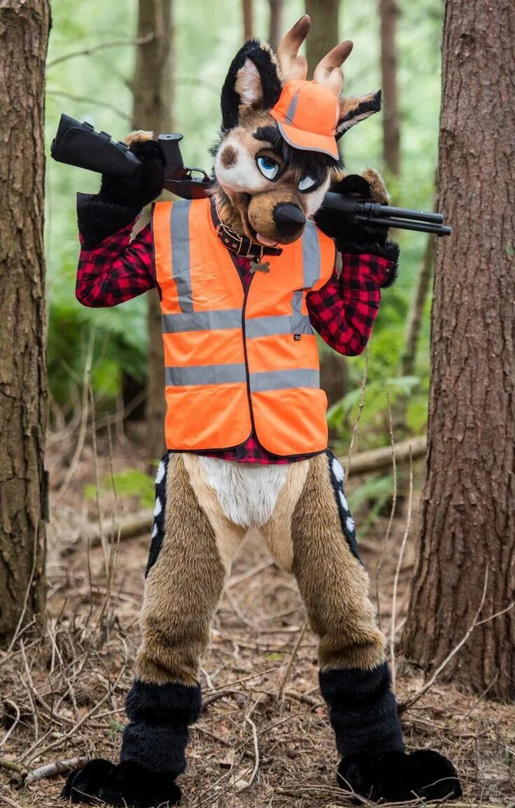 Furry cosplay. Фурсьют Динго. Фурсьют в шлейке. Фурри косплей. Фурсьют милитари.