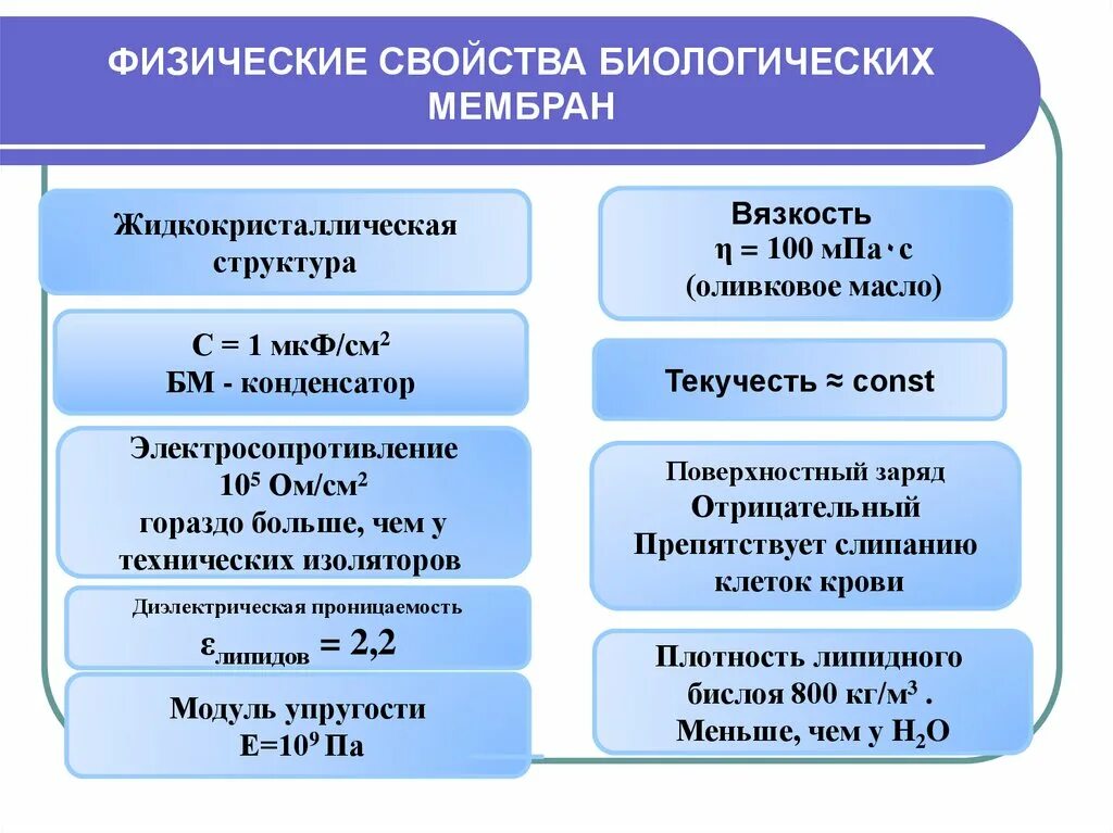 Биологические свойства клетки. Физико-химические свойства мембран. Физико-химические свойства биологических мембран. Физические свойства биологических мембран. Физические свойства клеточной мембраны.