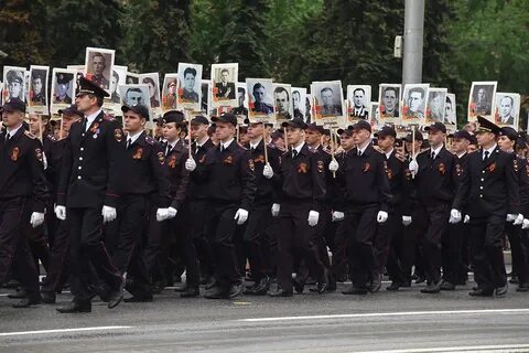 Полки донецк