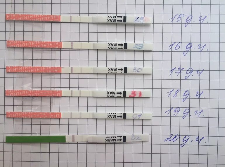 Почему не получается забеременеть с первого раза. Овуляция забеременеть. овуляция при беременности. овуляция и беременность. забеременеть не в овуляцию.