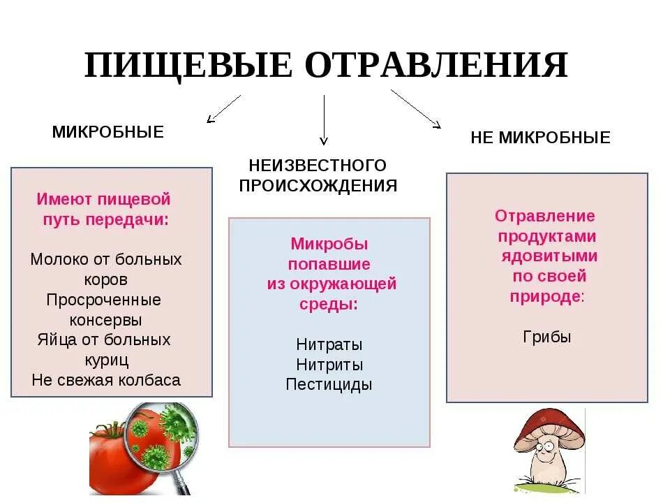 Пищевое отравление. Пищевые отравления презентация. Пищевые отравления информация. Пищевые отравления доклад.