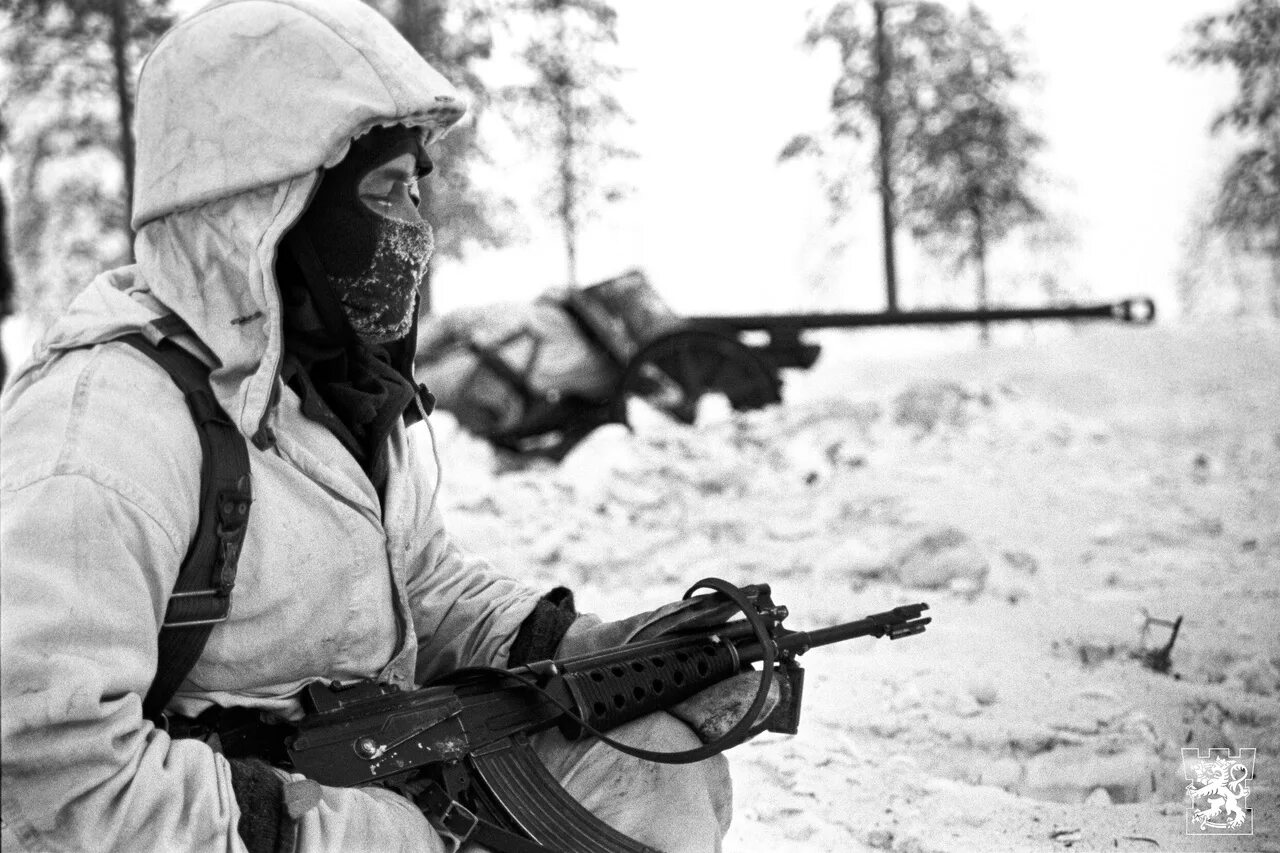 Повернутые на z войне вк. Финский солдат. Солдаты Финляндии. Солдат финской армии. Финские войска.