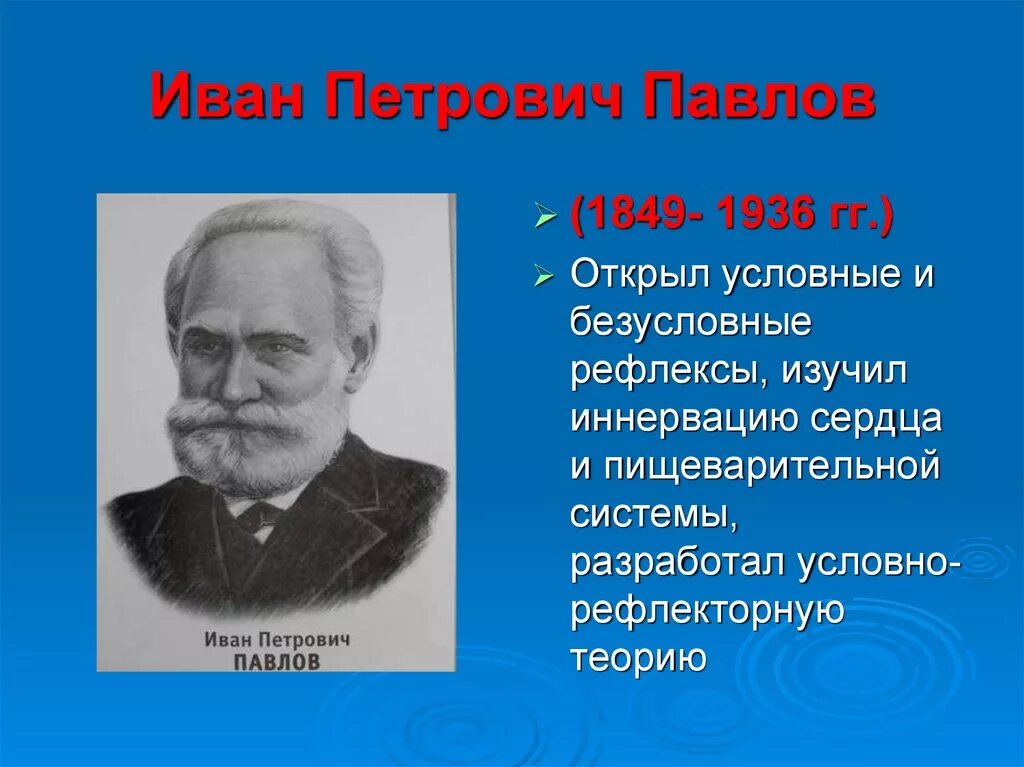 Открытия и п павлова. И П Павлов вклад в биологию.