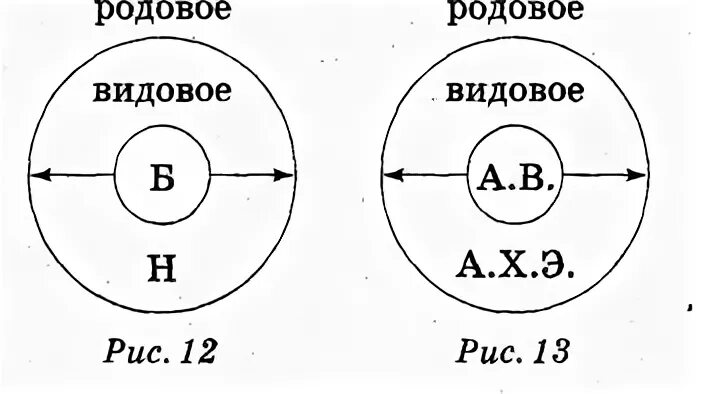 Круговая схема. Круговая схема по математике 2 класс. Круговые схемы 2 класс математика. Схема норвежского кругового. Отношения между понятиями с помощью круговых схем