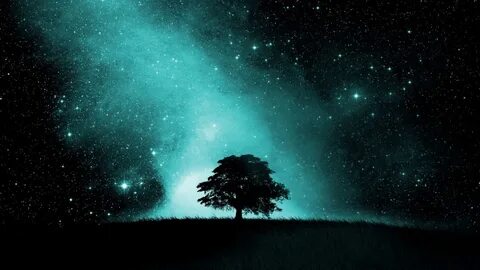 Beautiful stars