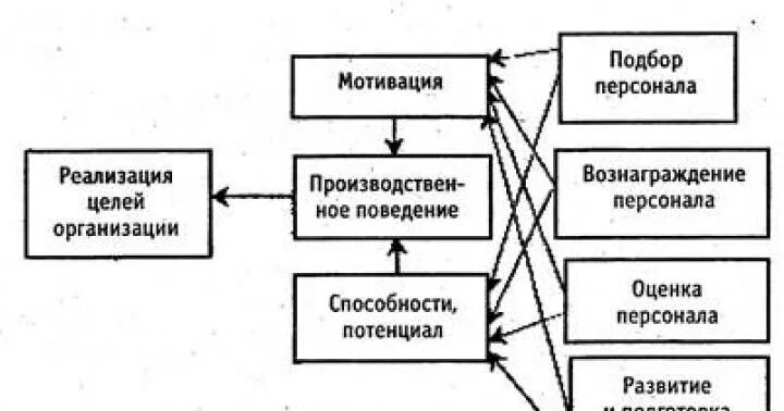 Отдел управления персоналом основные функции. Носители функций управления персоналом. Носители функций управления персоналом. Носители функций управления персоналом. Структура управления персоналом в организации схема.