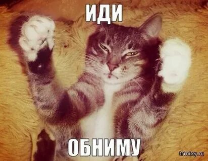 Пошли обниму