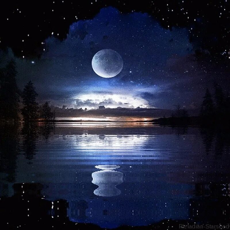 Moon place nft