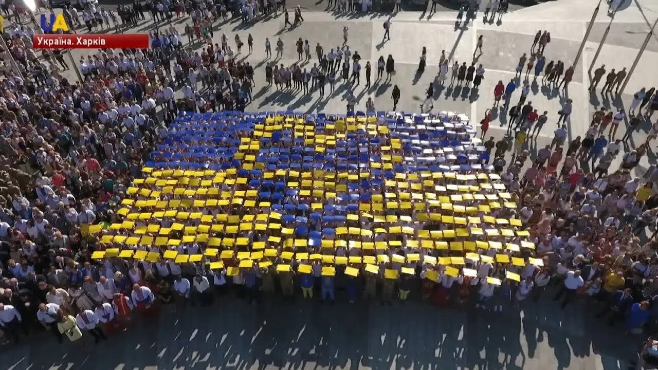 Украинский флешмоб. День государственного флага Украины. Флаг Украины из людей. Флешмоб с флагами. Украина день 22