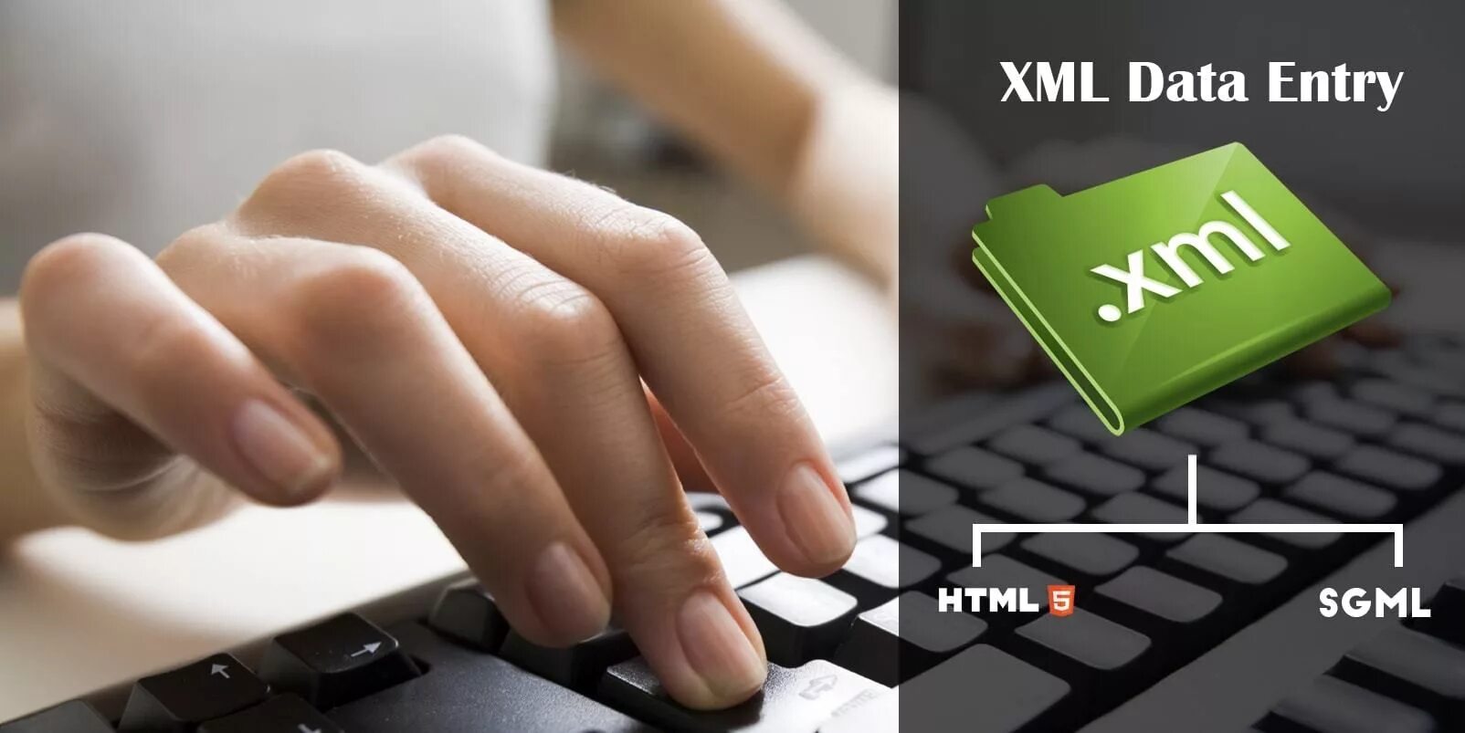 Enter service. Data entry. XML Conversion services. Data entry services. Data Converter.