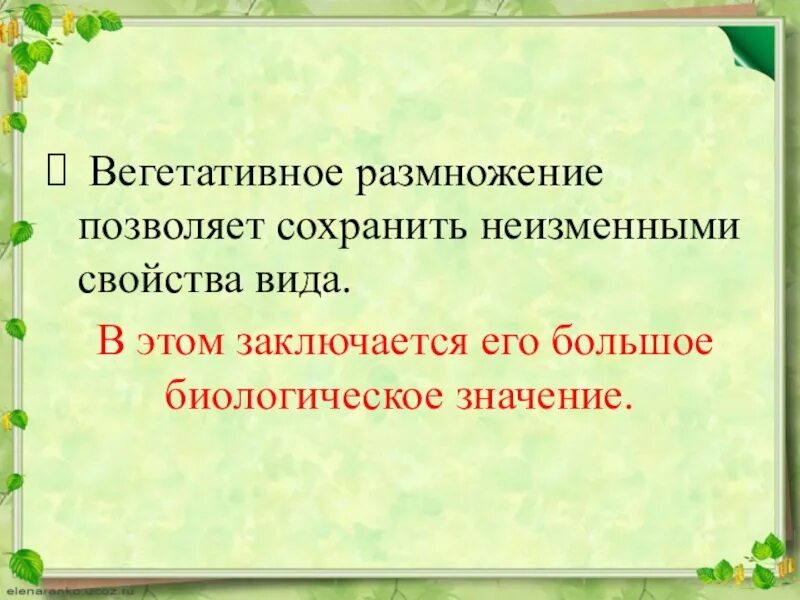 Вегетативное размножение, его биологическое значение.. Биологическое значение вегетативного размножения. Биологическое значение вегетативного размножения растений. Хозяйственное значение вегетативного размножения. Какое значение вегетативного размножения