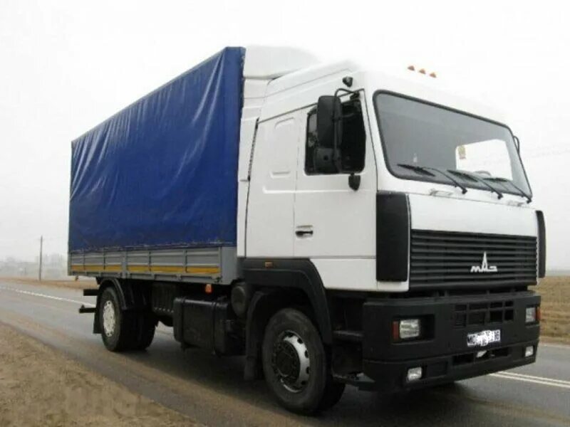 Евромаз покажи. Маз 5440 фура. Маз 11. Маз ассенизатор 11 кубов. Маз 6312 рефрижератор.