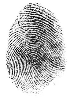 Certificate fingerprint