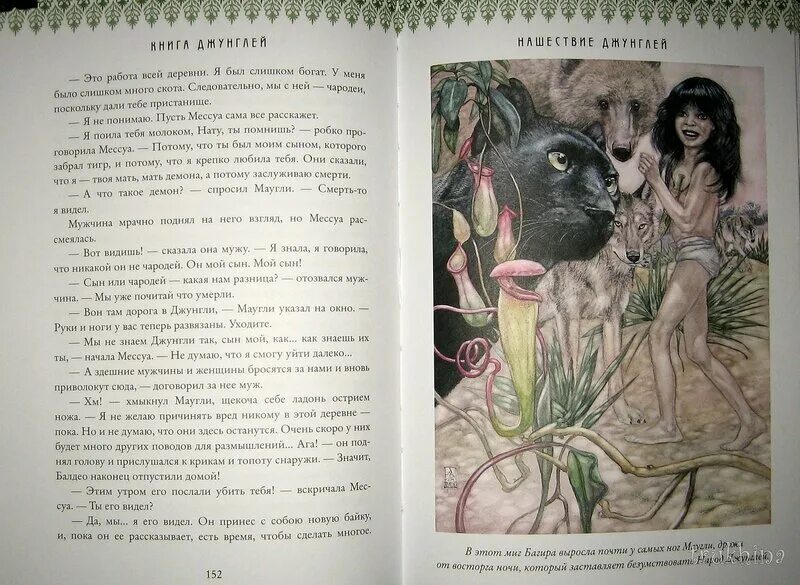 Маугли читать сколько страниц в книге. Маугли книга советское издание. маугли книга главы. маугли читать полностью. киплинг маугли сколько страниц.