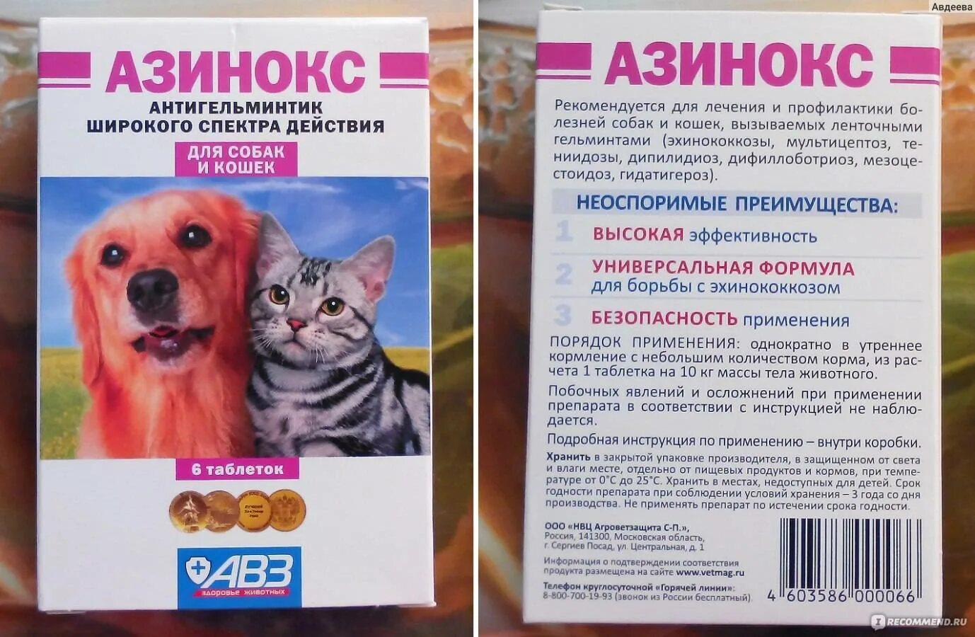 Можно ли собакам давать таблетки от аллергии. Азинокс 100. глистогонка для собак азинокс. .таблетки от глистов азинокс таблетки. таблетки азинокс от глистов для человека.
