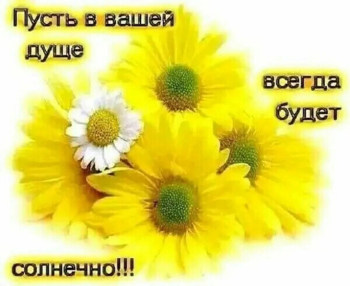 Пусть всегда будет отлично. Пусть на душебулет тепло. пусть на душе будет всегда тепло и радостно. пусть в душе будет солнечно. пусть на душе будет тепло.