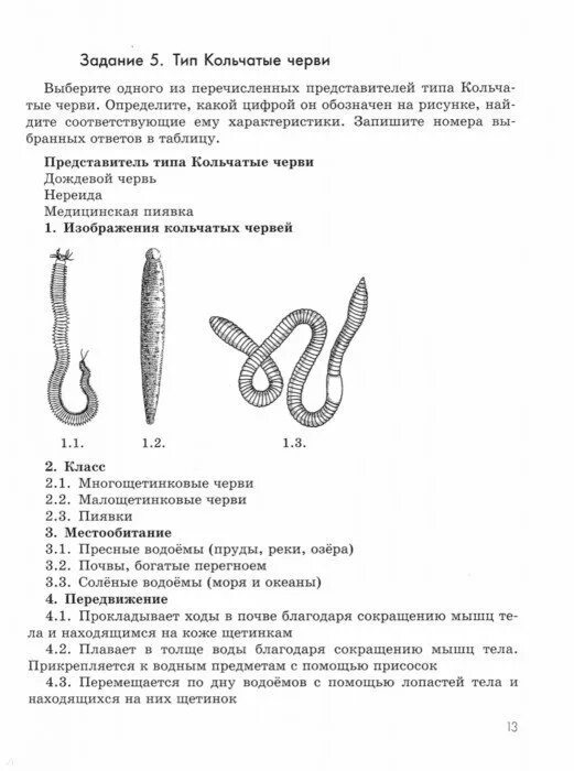 Биология 7 класс черви проверочная. Контрольная работа биология черви