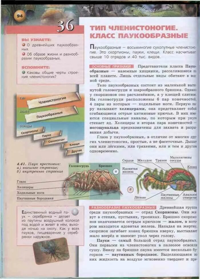 Биология Сухорукова Кучменко Колесникова 7 класс. Биология 7 класс учебник Сухорукова. Биология учебник 7 класс Сухорукова параграф 26. Биология 7 класс Сухорукова 42 параграф. Биология 7 класс основные темы