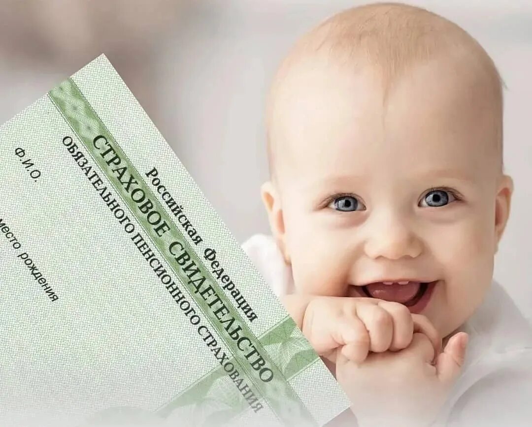 Документы для новорожденного ребенка. Новорожденный с паспортом рф. Дети в паспорте. Свидетельство о рожденииноворожденого ребенка. Снилс для новорожденного 2021.