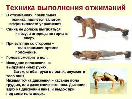 Сгибание туловища в упоре лежа