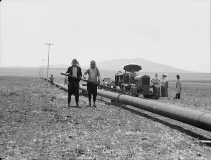 англо персидская нефтяная компания