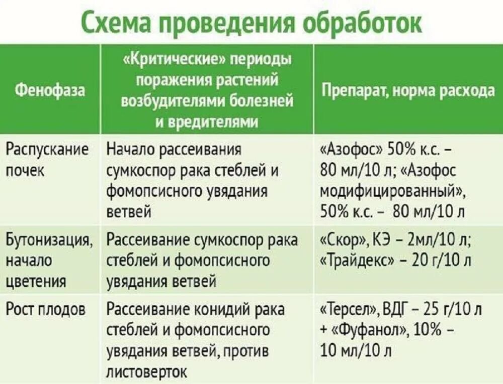 Можно ли опрыскивать деревья после цветения. Препараты для обработки деревьев весной от вредителей. Обработка плодовых деревьев от вредителей и болезней. Схема обработки деревьев весной. Схема обработки сада от вредителей.