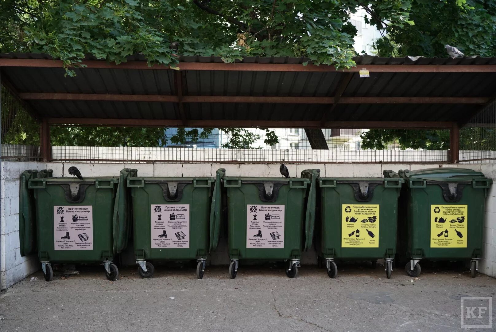 Контейнеры для раздельного сбора. Контейнеры для отходов должны. Контейнеры для отходов должны. Контейнер для мусора. Контейнерные площадки спецтранс 1.