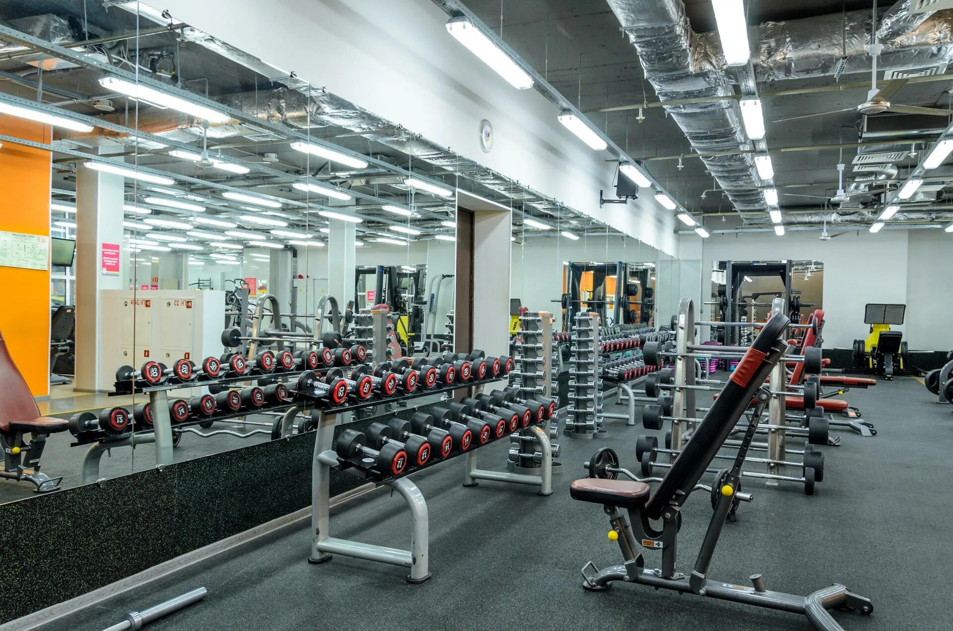 Alex fitness казань