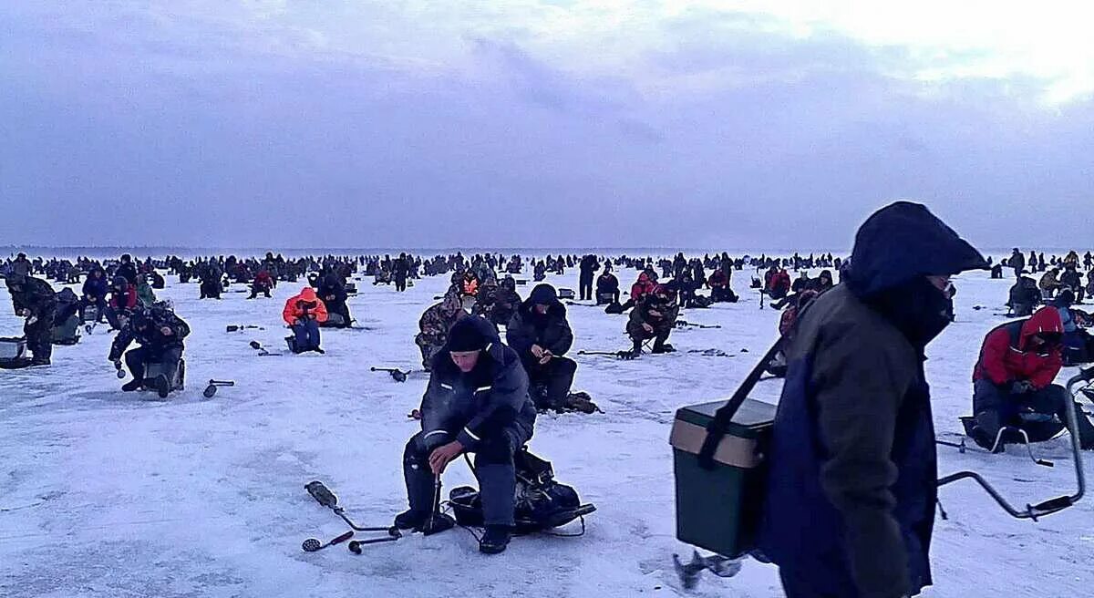 Рыбалка в ленинградской области на ладоге. Зимняя рыбалка на Ладожском озере. Ладожское озеро зимой рыбалка. Толпа рыбаков зимой. Толпа рыбаков на зимней рыбалке.