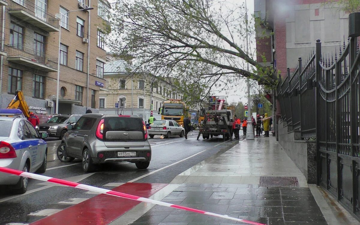 Шторм в москве 2017. Ураган в москве повалил деревья. Сильный ветер в москве. В москве пострадали от ветра. Упавшие деревья в москве.