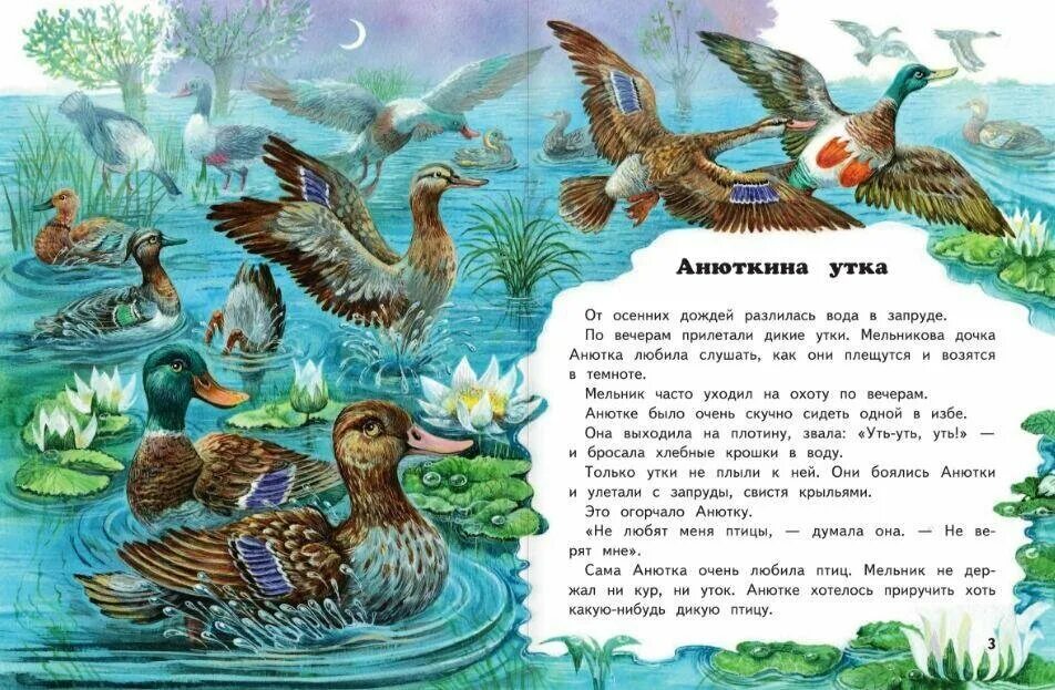 Анюткина утка бианки. Бианки уточка читать. Анюткина утка бианки. Анюткина утка иллюстрации. Бианки анюткина утка книга.