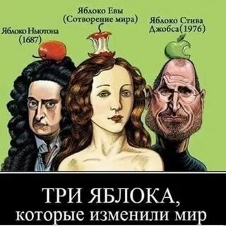 3 прикола