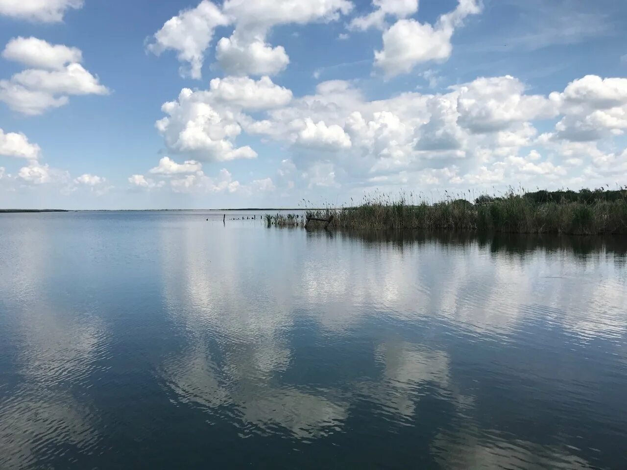 Кашарское водохранилище Ростовской области. Водохранилище Маныч. Водохранилища Ростовской области. Чигиринское водохранилище. Поездка на водохранилище