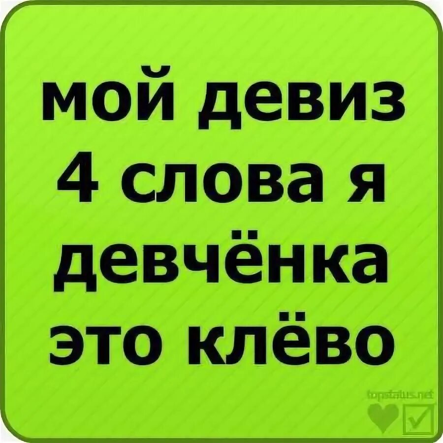 Девизы по жизни для девушек. Мой девиз 4 слова. крутые статусы. интересные девизы по жизни. смешные девизы по жизни прикольные.