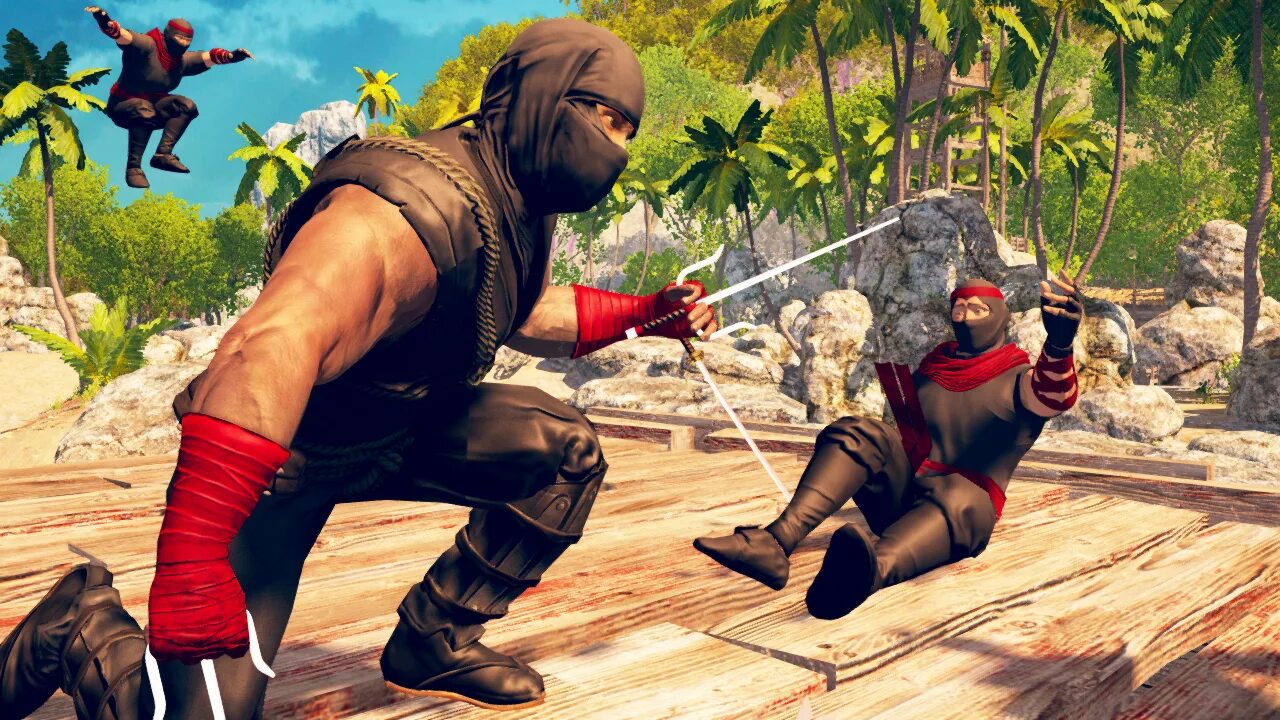 Ton ninja pool. Игра ninja fight. ninja assassin game. игра на xbox ninja fight 3. ниндзя зона.