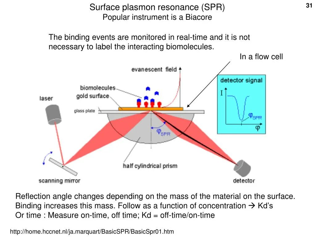 Surface Plasmon Resonance. Поверхностный плазмонный резонанс (SPR). Конструкция анализатора поверхностного плазмонного резонанса. Поверхностным плазмонным резонансом.