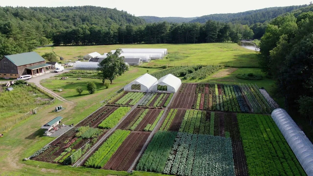 Современные фермерские хозяйства. Кфх белоруссии. Крестьянское фермерское хозяйство. (сельско-фермерское) хозяйство "домодедовская эко ферма". Современные фермерские хозяйства.