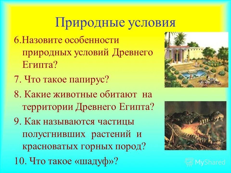 Какие условия были в древнем египте. Какие условия были в древнем египте