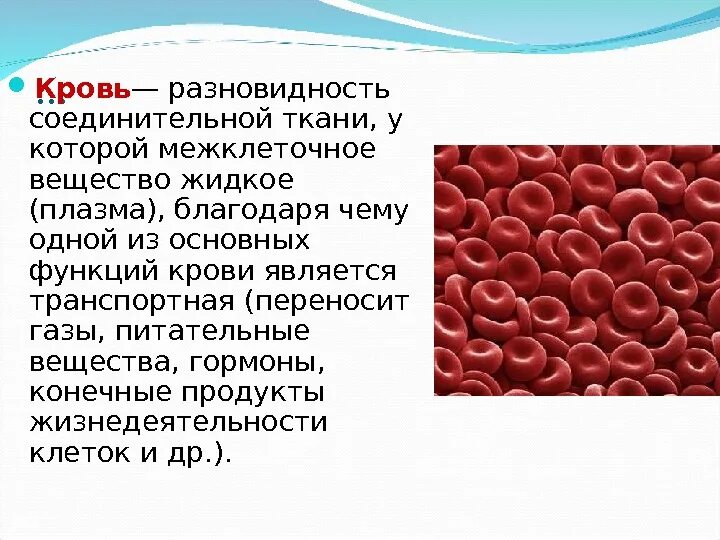 Почему кровь считают. Кровь и лимфа соединительная ткань строение и функции. Соединительная ткань кровь строение и функции. Кровь соединительная ткань строение. Строение и функции крови как ткани.