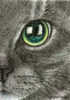 Глаза котенка нарисовать